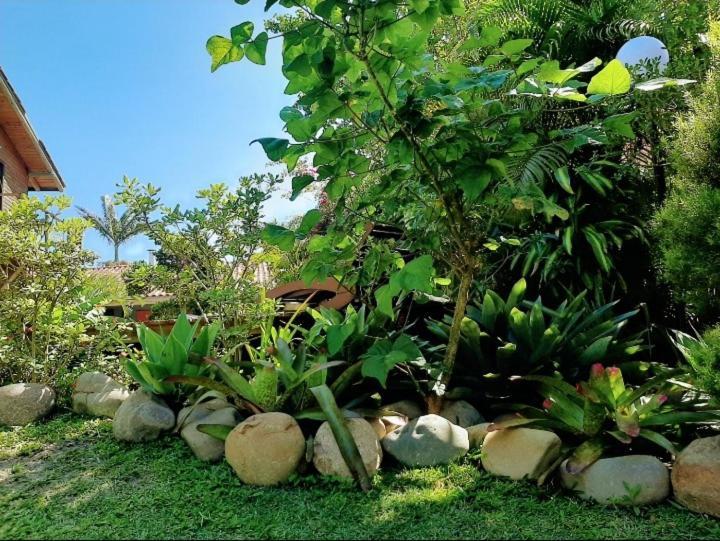 Villa Josefa - Chale Completo Com Piscina E Churrasqueira Praia do Rosa Exteriér fotografie